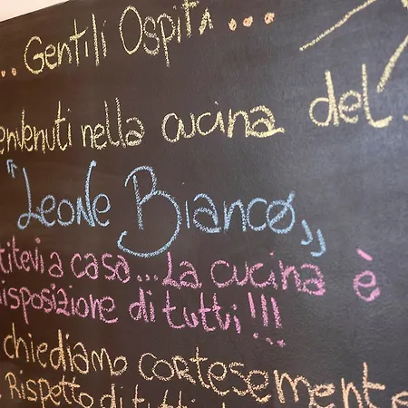 Il Leone Bianco Affittacamere-3